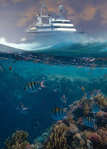 world ocean day image